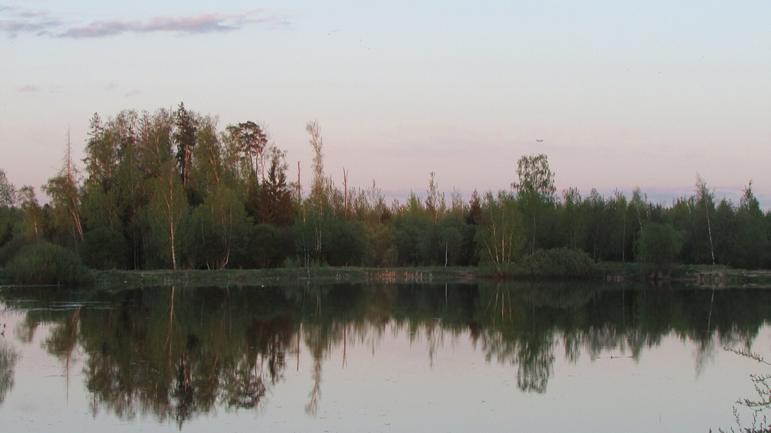 Тихая вода карьера на закате, лес на берегу