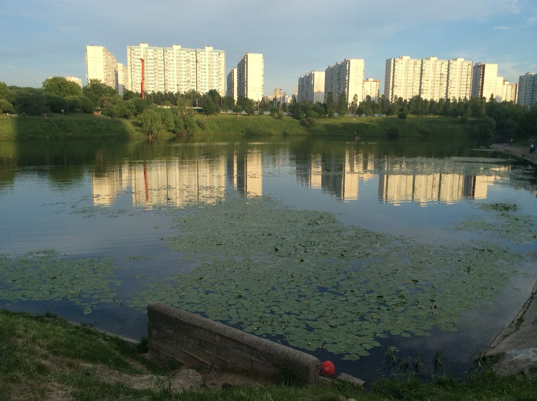Большой Очаковский пруд на закате, отражение домов